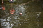 DSC_9165.JPG